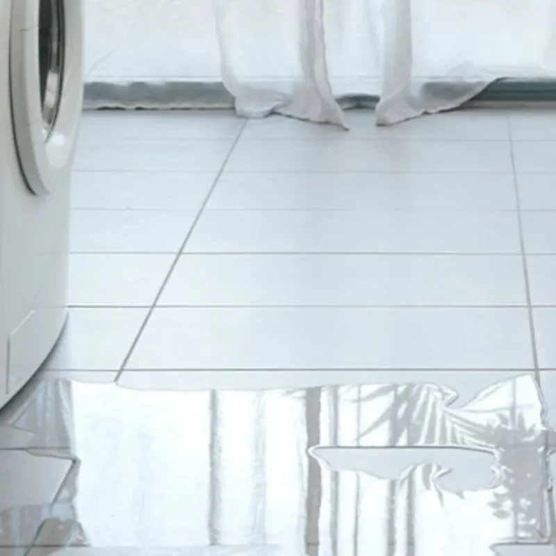 Appliance Leak Cleanup in Lake Magdalene, FL