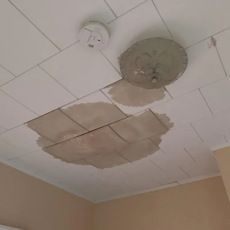 Ceiling Water Damage Repair in Lake Magdalene, FL